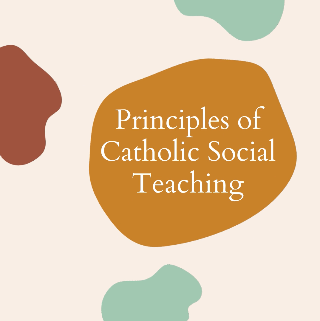 principles-of-catholic-social-teaching-justice-and-peace-commission